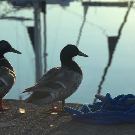 Ancora Marina Haus 2 Nr 04, Typ 1 Lägenhet